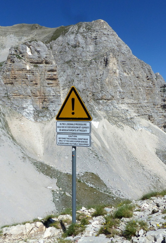 Orchidee e fiori del Monte Vettore e del Lago di Pilato � 26 giugno 2025.